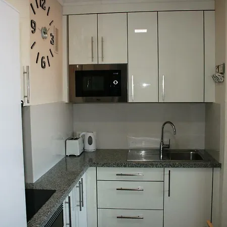 Apartment Dom Elena Surycan *