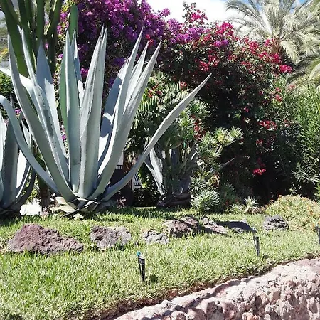 Dom Elena Surycan * Maspalomas (Gran Canaria)
